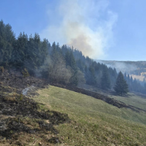 Creșterea alarmantă a incendiilor în fondul forestier din România