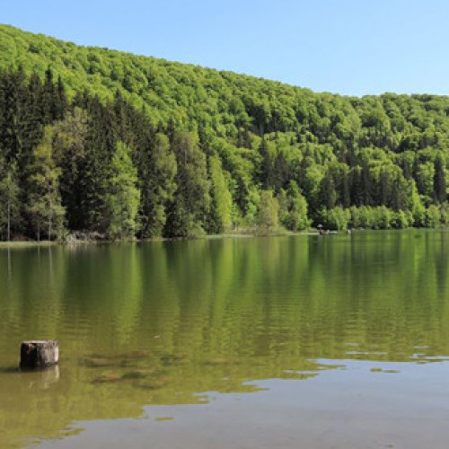 Temperatura apei Lacului Sfânta Ana atinge valori record în vara anului 2024