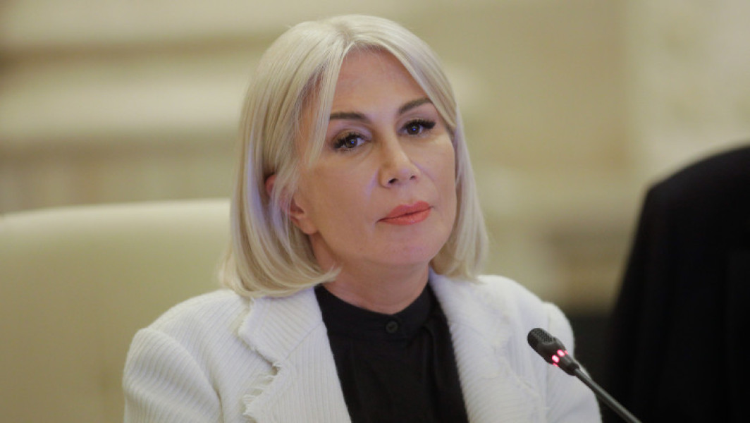 Raluca Turcan: Nicolae Ciucă - o carte câştigătoare pentru PNL şi România