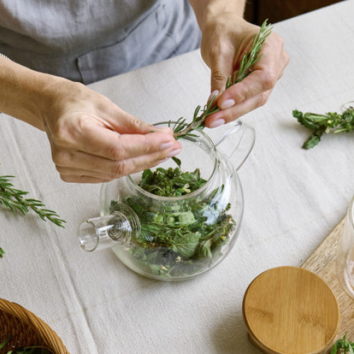 Planta aromatică medicinală care sprijină și îmbunătățește memoria. Medicii afirmă: „Poate susține funcțiile cognitive”