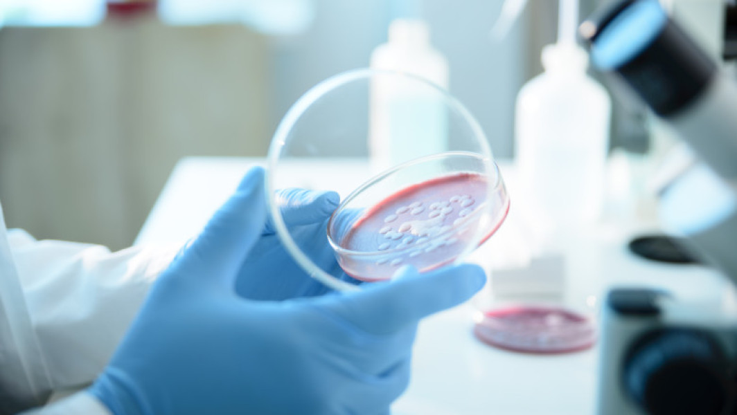 Anchetă la Spitalul „Sfânta Maria” după decesul a șase copii din cauza infecției cu Serratia marcescens