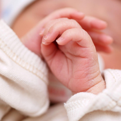 Programul FIV va sprijini peste 6.600 de familii cu 100 milioane lei noi