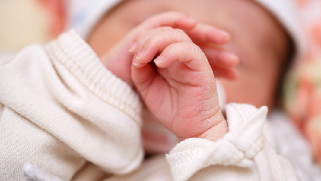 Programul FIV va sprijini peste 6.600 de familii cu 100 milioane lei noi