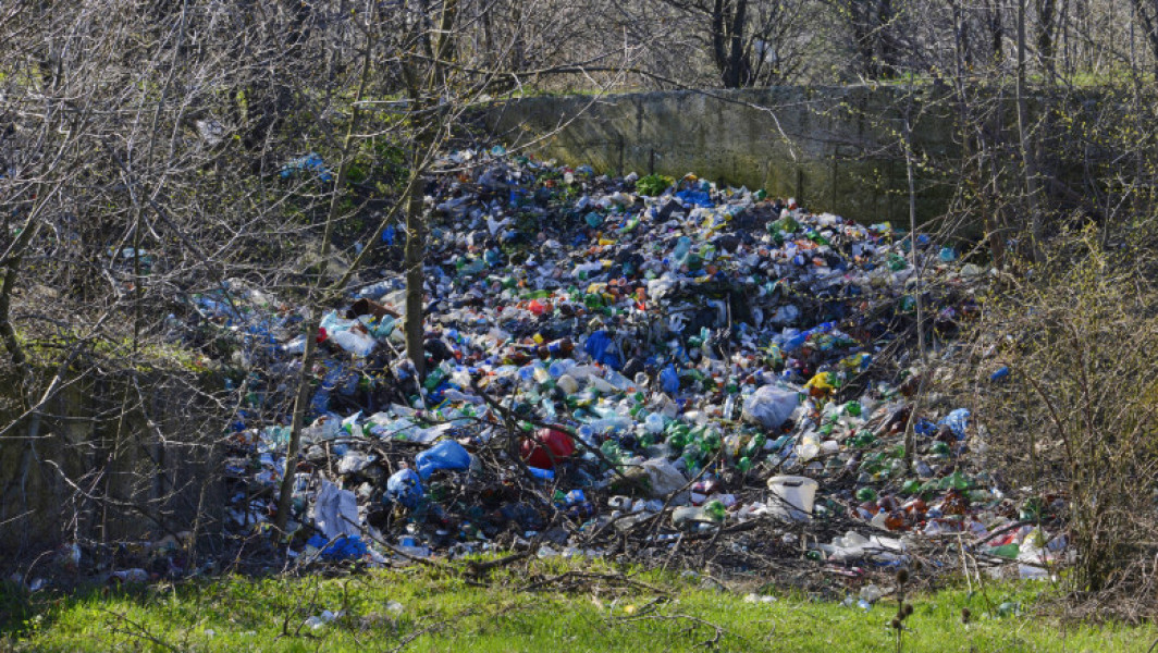 Ministra Mediului anunță campanie națională de educare privind reciclarea în 2026