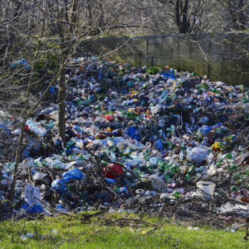 Ministra Mediului anunță o campanie națională de educare pentru creșterea reciclării în 2026