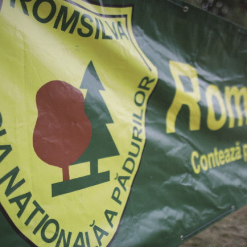 Ministrul Mediului cere reorganizarea Romsilva pentru a opri pierderile financiare