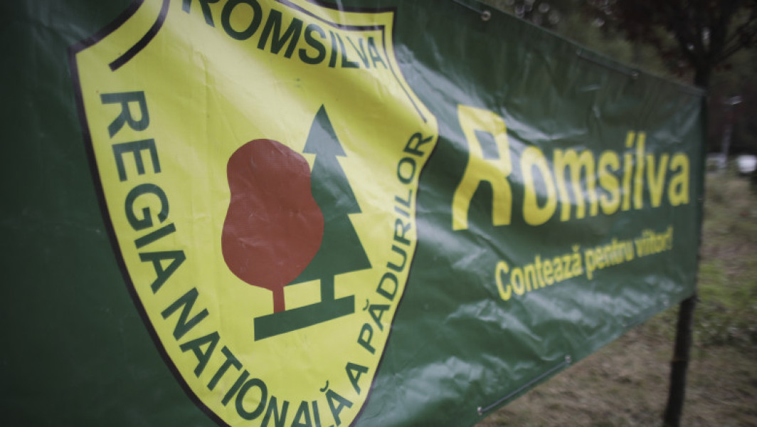Ministrul Mediului cere reorganizarea Romsilva pentru a opri pierderile financiare