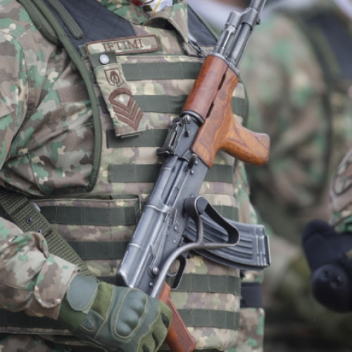 Guvernul discută proiecte pentru pregătirea militară voluntară și noile atribuții ale armatei