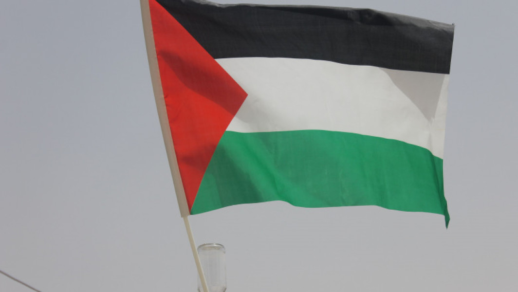 Irlanda și Norvegia Intenționează să Recunoască Starea Palestiniană în Cadrul Coordinației cu Alte Țări Europene