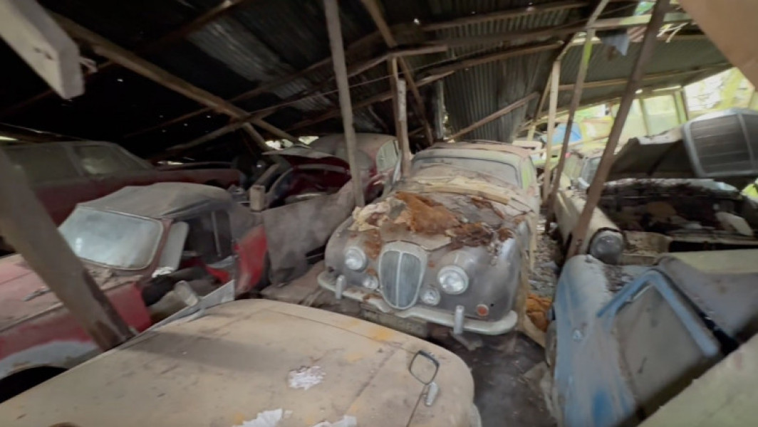 Femeia care a descoperit comoara din padure: peste 50 de masini vintage abandonate in hammbarul unei paduri din Nottinghamshire