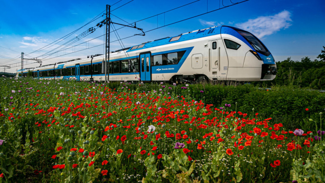 Cum să călătorești în trei țări europene și opt orașe cu doar 8 euro. Slovenia vine cu soluția pentru cei care caută o vacanță ieftină