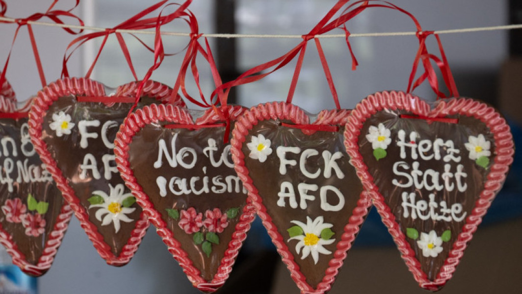 Politicieni ai AfD Atacați în Karlsruhe și Dresda