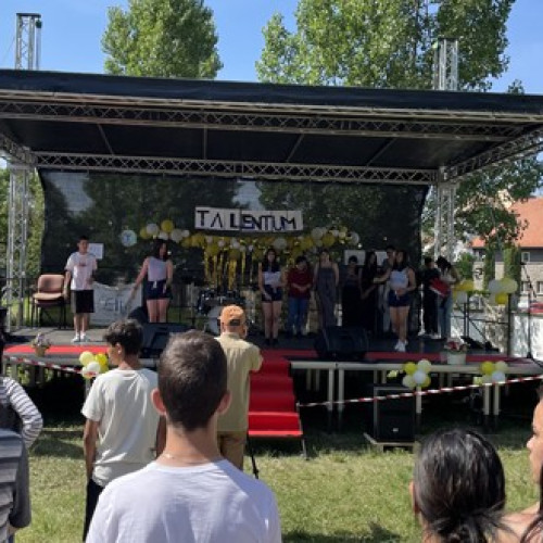 &quot;Zilele Talentelor&quot; în Harghita: un festival de creativitate și artă pentru copiii din centrele de plasament